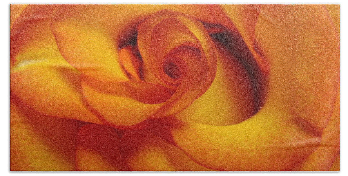 Roses Bath Towel featuring the photograph Rose Marie by Mary Halpin