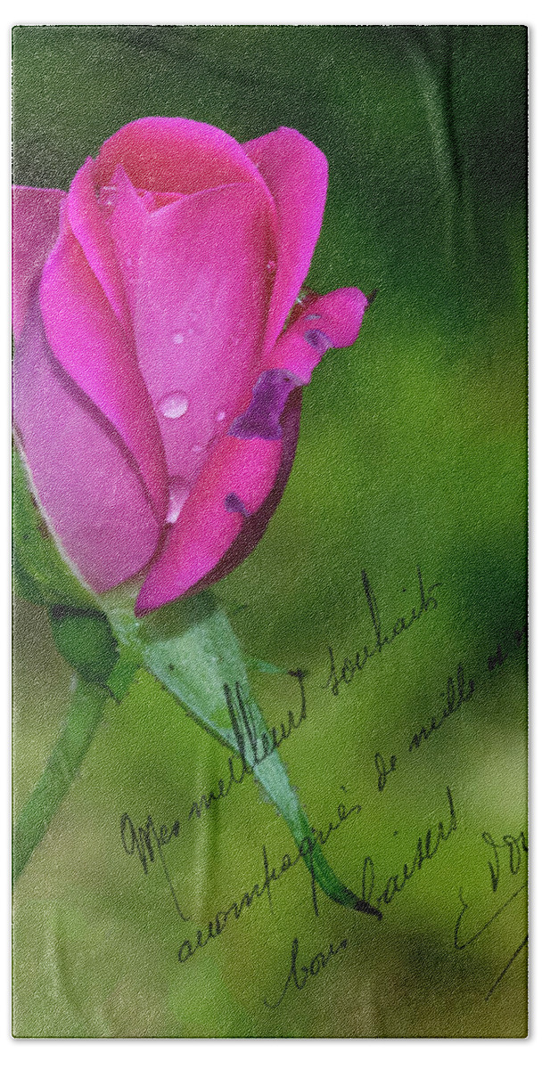 Note Card Bath Towel featuring the photograph Rose Notes by Cathy Kovarik