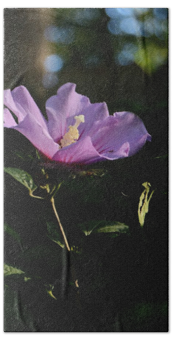 Rose Of Sharon Side Hand Towel featuring the photograph Rose of Sharon Side by Warren Thompson
