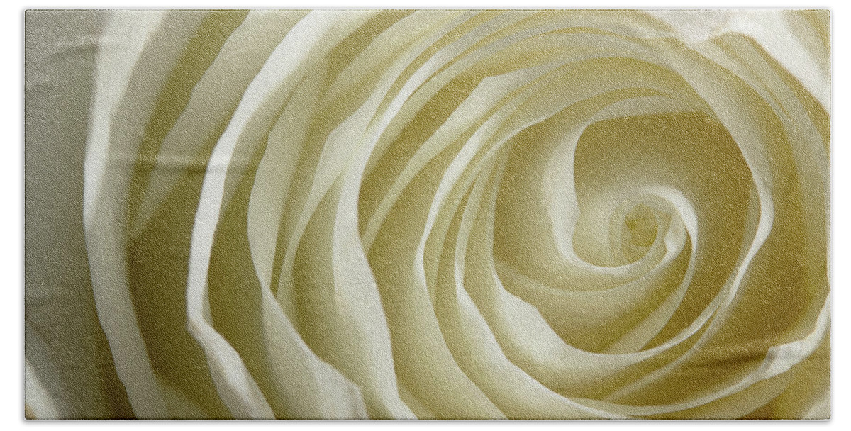 Rose Bath Towel featuring the photograph Rose Series 4 White by Mike Eingle