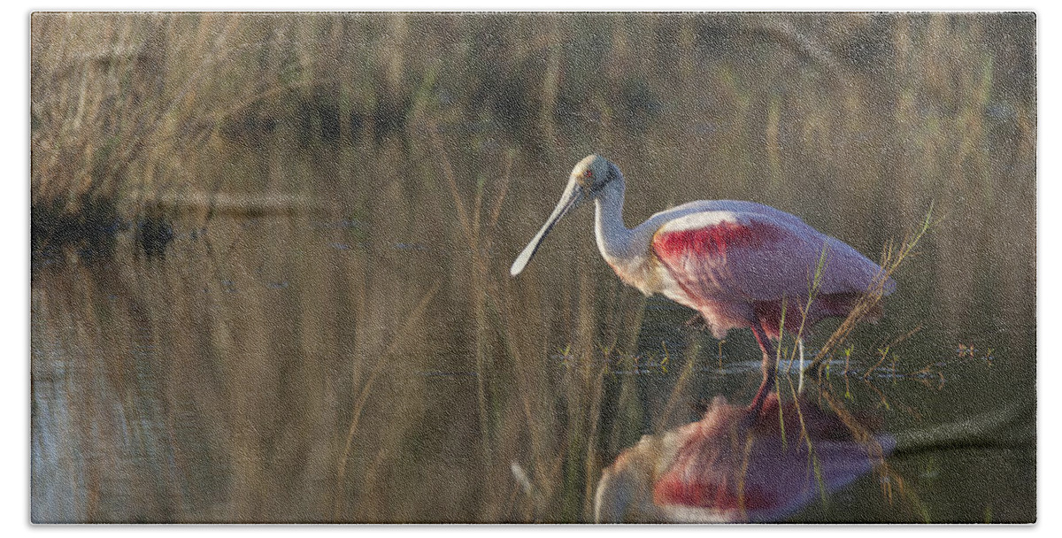 Roseate Hand Towel featuring the photograph Roseate Spoonbill in morning light by David Watkins
