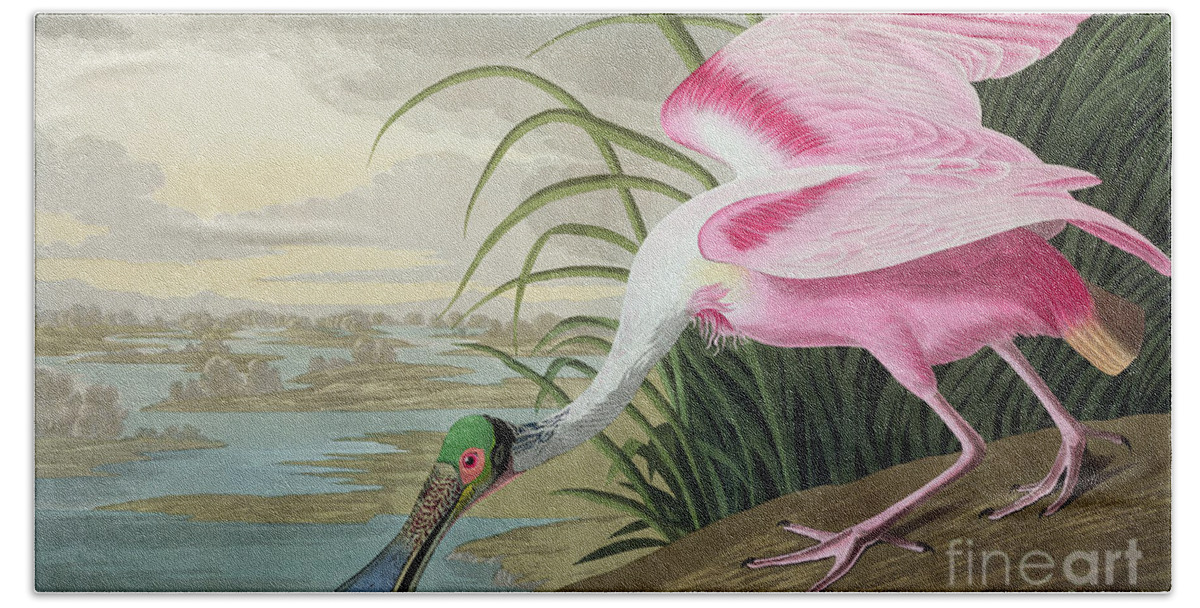 Audubon Bath Sheet featuring the painting Roseate Spoonbill by John James Audubon