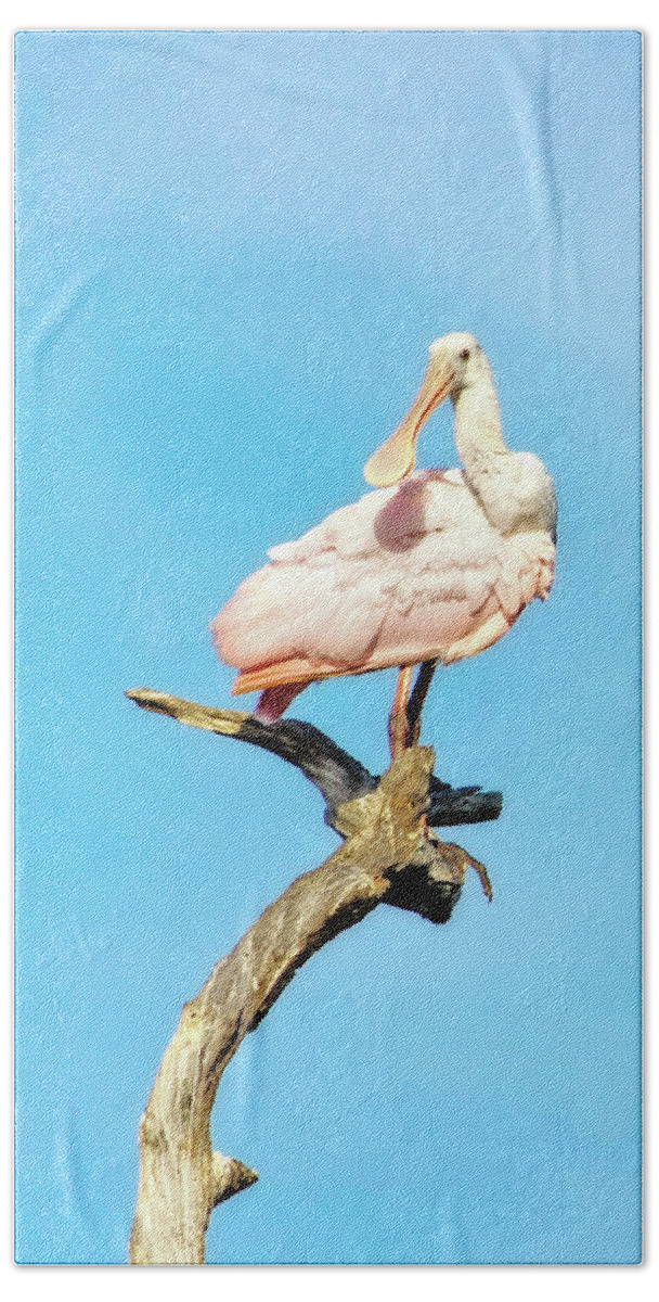 Roseate Spoonbill Bath Towel featuring the photograph Roseate Spoonbill by Mark Andrew Thomas