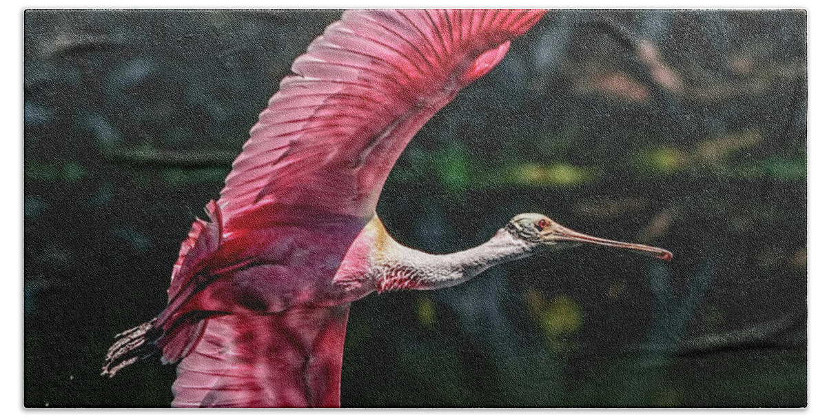 Roseate Spoonbill Bath Towel featuring the photograph Roseate Spoonbill by Steven Sparks