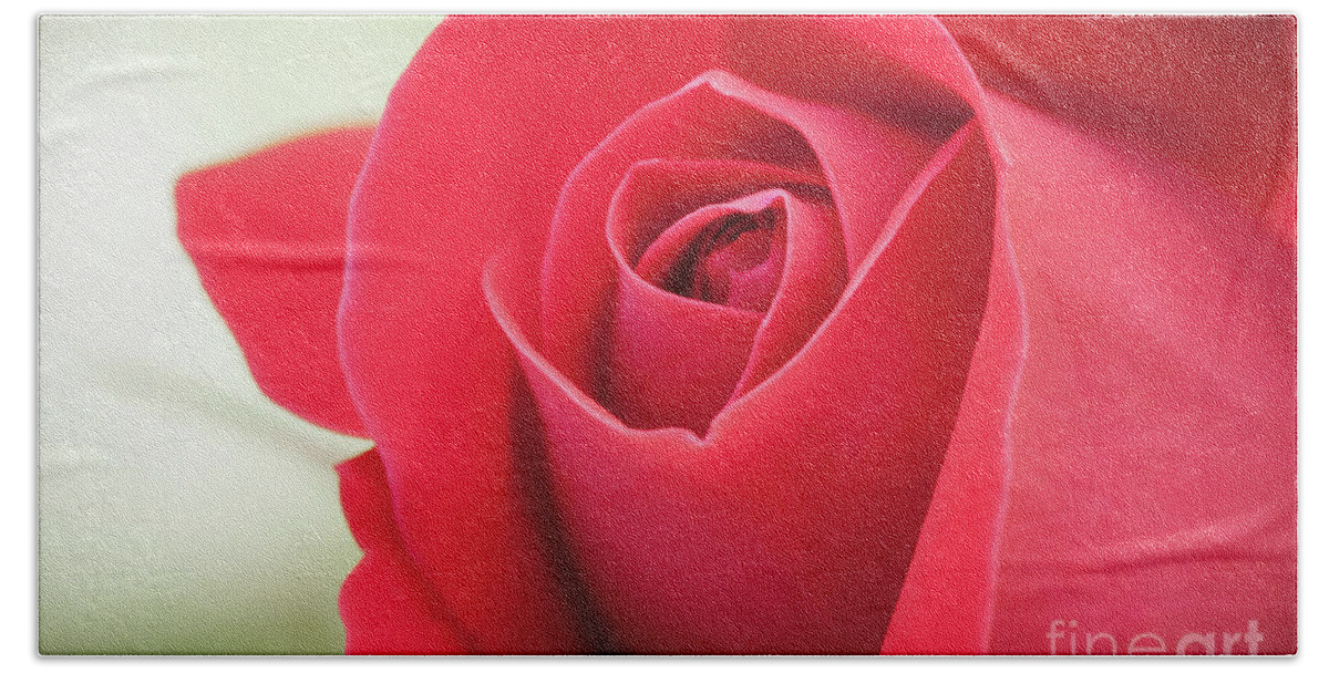 Bloom Bath Towel featuring the photograph Roses Are Red by Todd Blanchard
