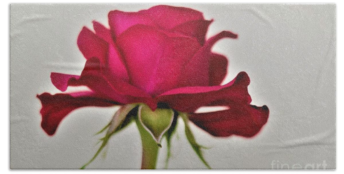  Single Bath Towel featuring the photograph Roses Are Red by Tracey Lee Cassin