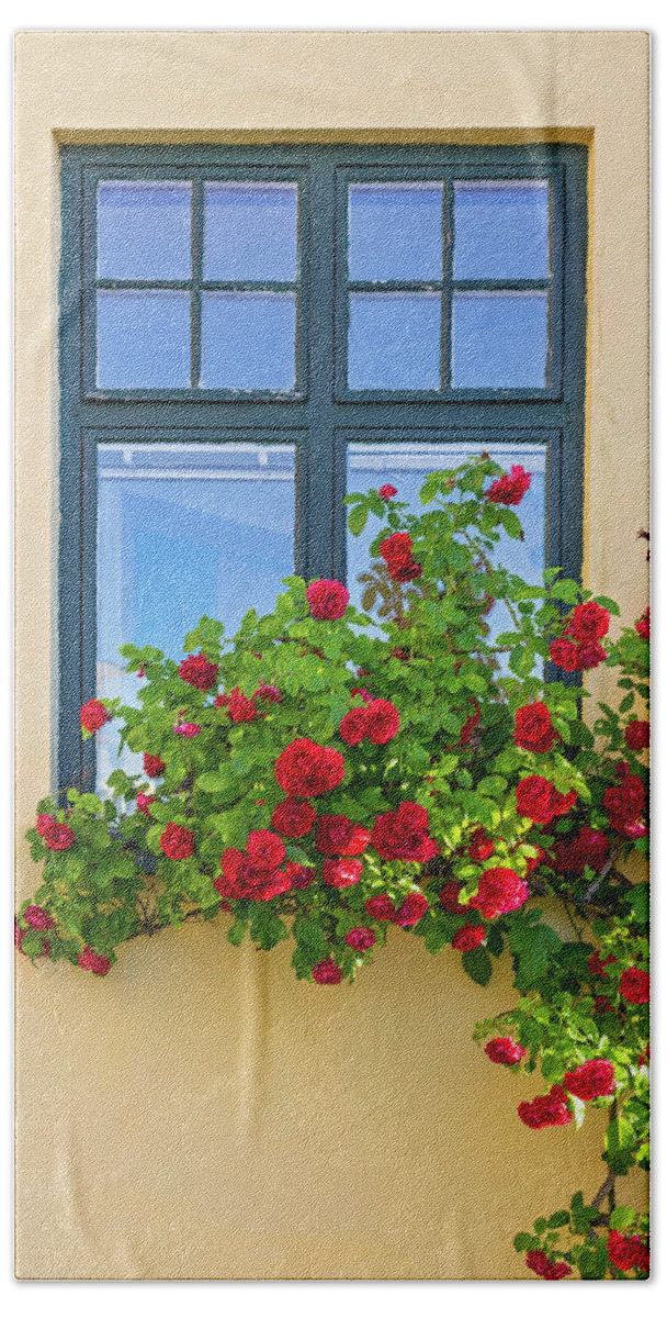 Roses Bath Towel featuring the photograph Roses decorating a house by GoodMood Art