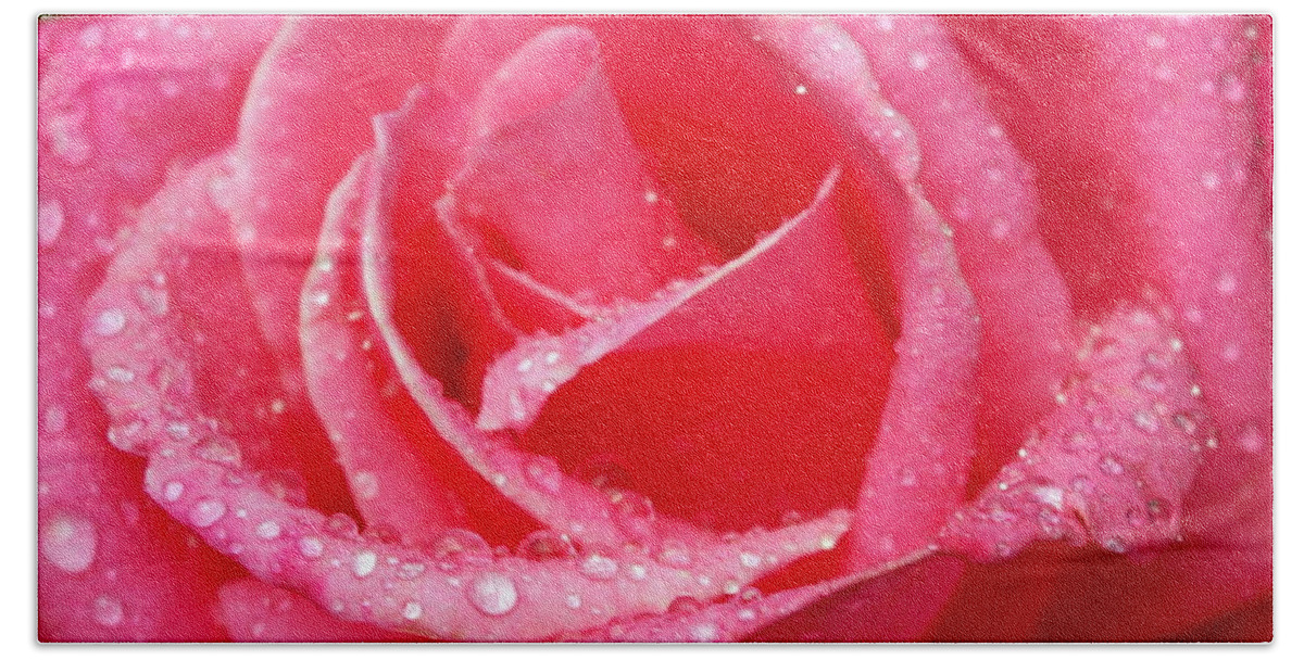 Close Up Bath Towel featuring the photograph Rosey by Beth Collins