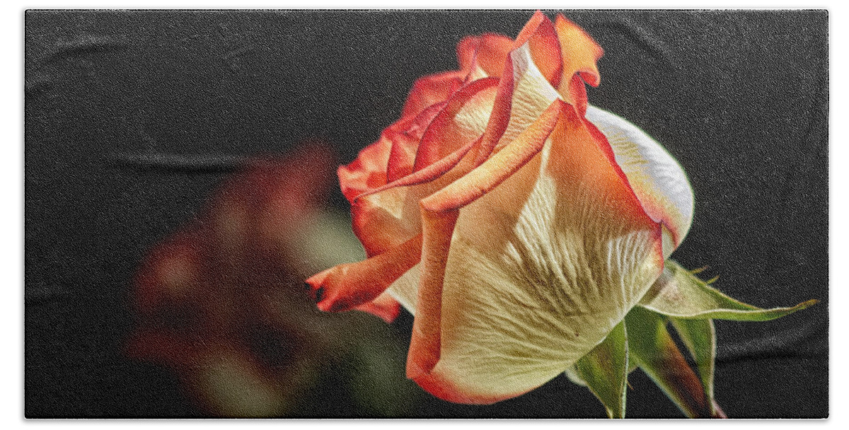 Red Hand Towel featuring the photograph Rosy Red Reflections by Bill and Linda Tiepelman