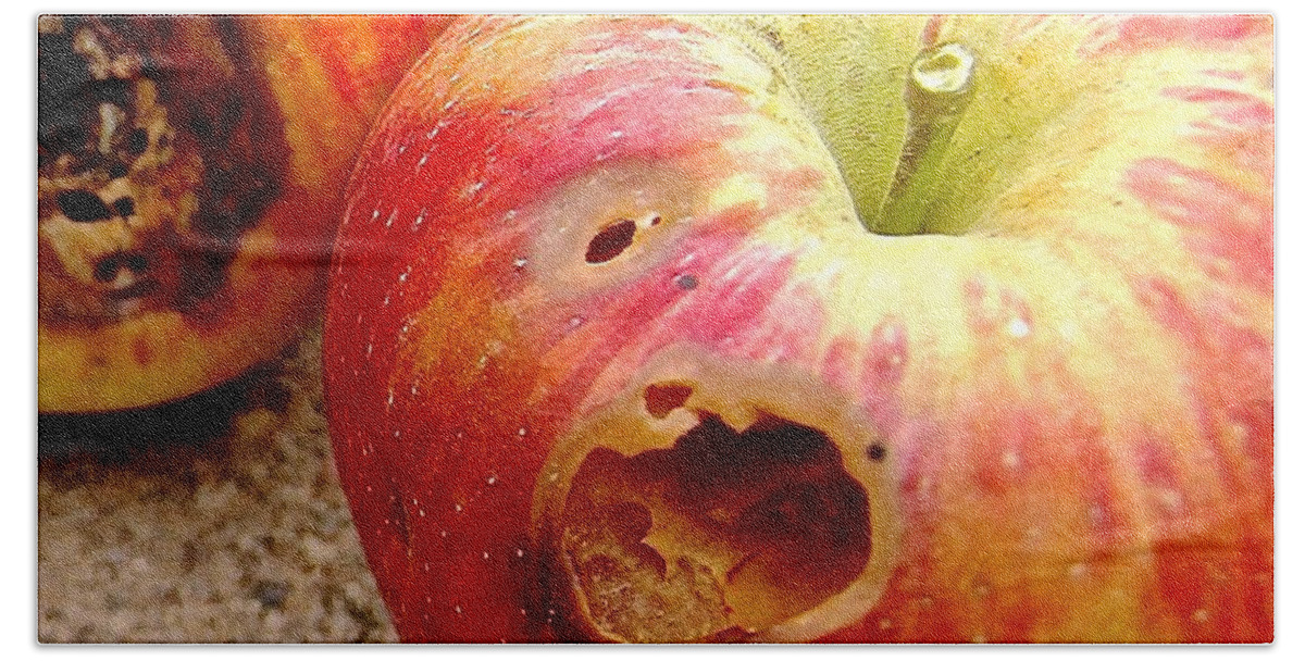 Apple Bath Towel featuring the photograph Rotten Apples by Elisabeth Derichs