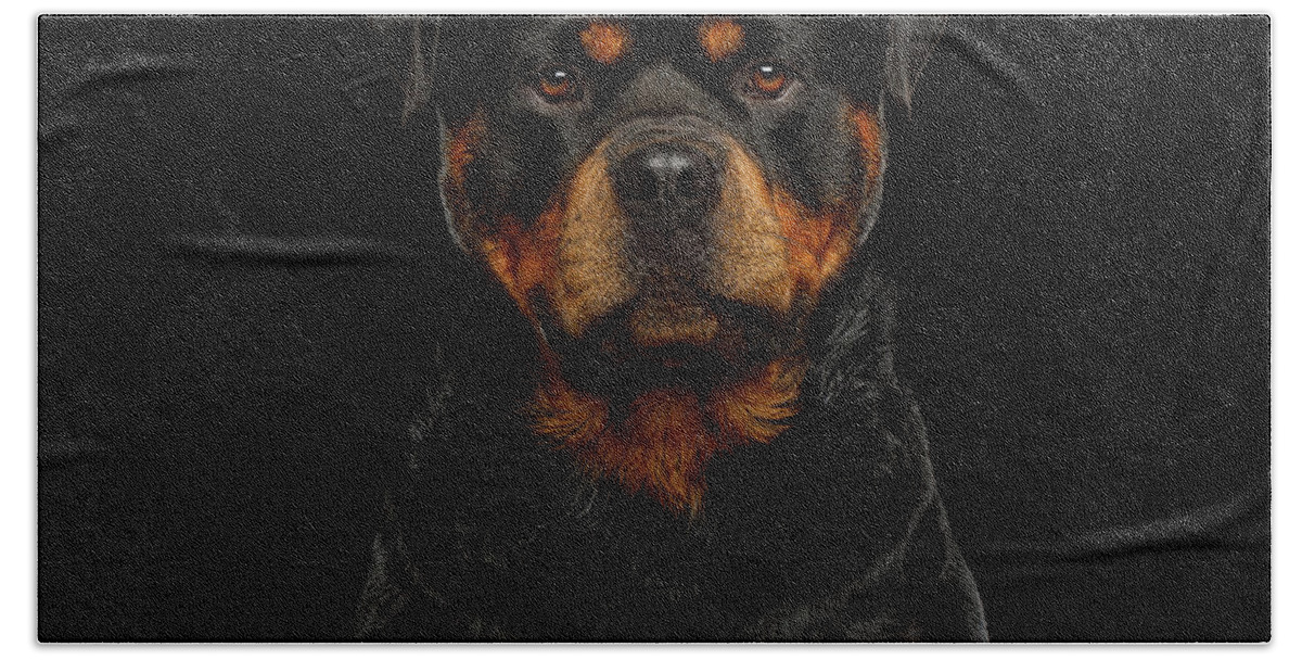 Rottweiler Hand Towel featuring the photograph Rottweiler by Sergey Taran