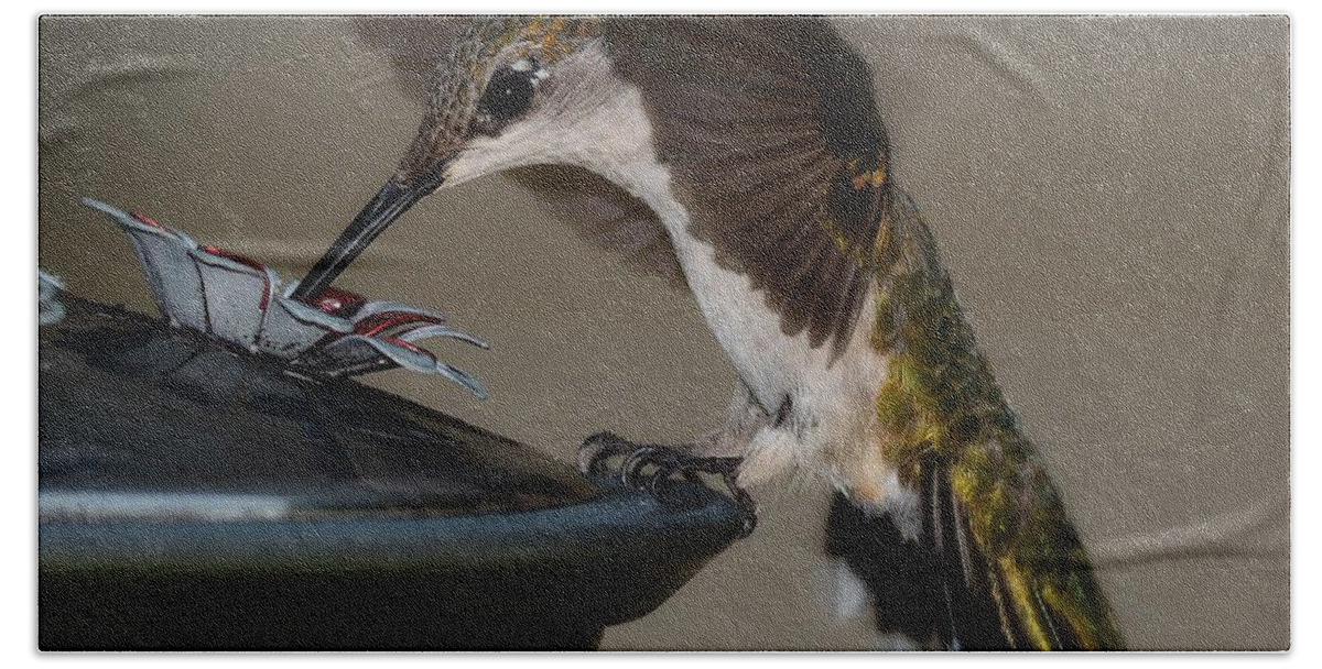 Birds Bath Towel featuring the photograph Ruby - Throated Hummingbird by Steve Brown