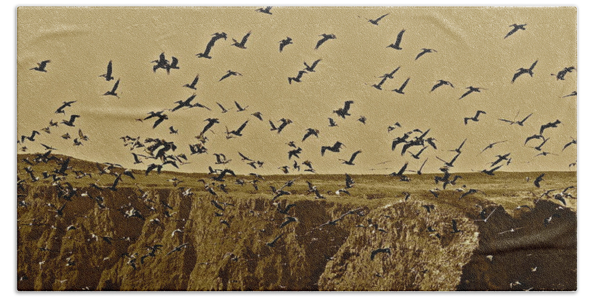 Birds Hand Towel featuring the photograph Run For Cover by Diana Hatcher