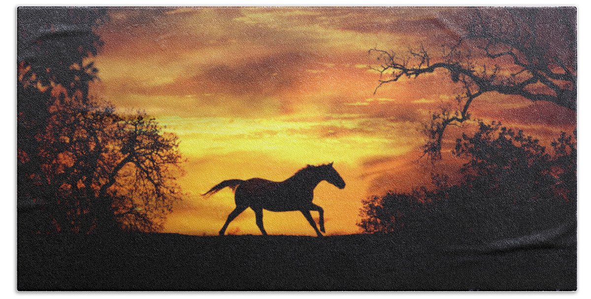 Horse Hand Towel featuring the photograph Running Horse at Sunset by Stephanie Laird