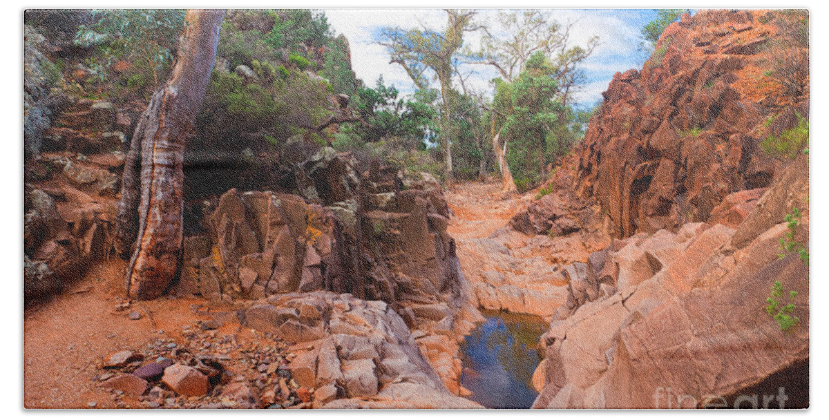 Sacred Canyon Flinders Ranges South Australia Australian Landscape Landscapes Outback Gum Trees Tree Water Erosion Bath Towel featuring the photograph Sacred Canyon by Bill Robinson