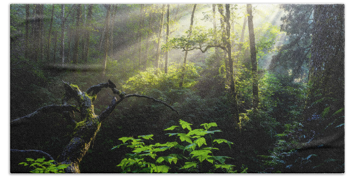 Light Hand Towel featuring the photograph Sacred Light by Chad Dutson