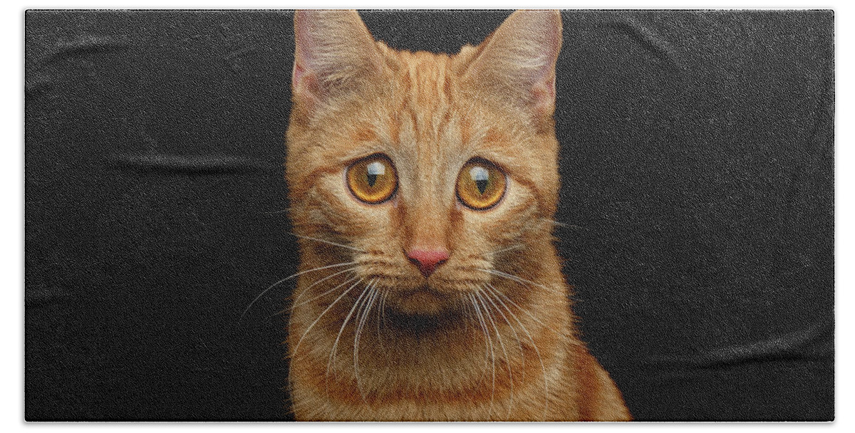 Cat Bath Towel featuring the photograph Sad Ginger Cat by Sergey Taran
