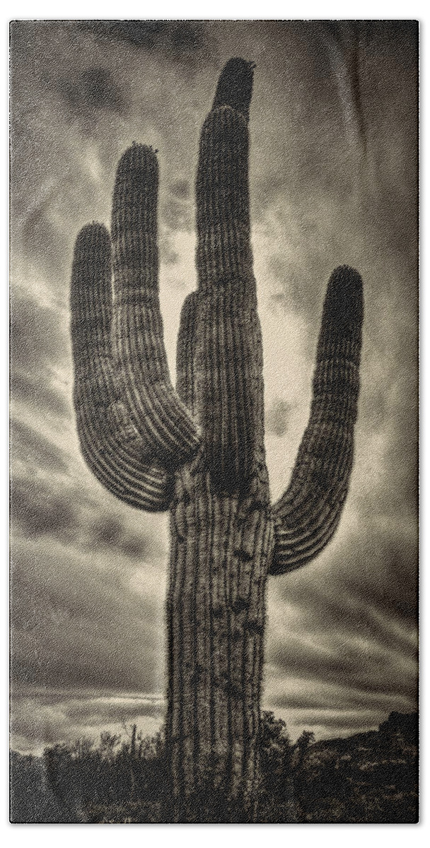Arizona Hand Towel featuring the photograph Saguaro and Storm Clouds by Roger Passman