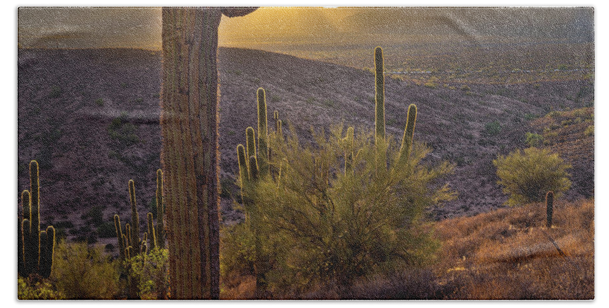 Saguaro Bath Sheet featuring the photograph Saguaros at Sunset by Jen Manganello