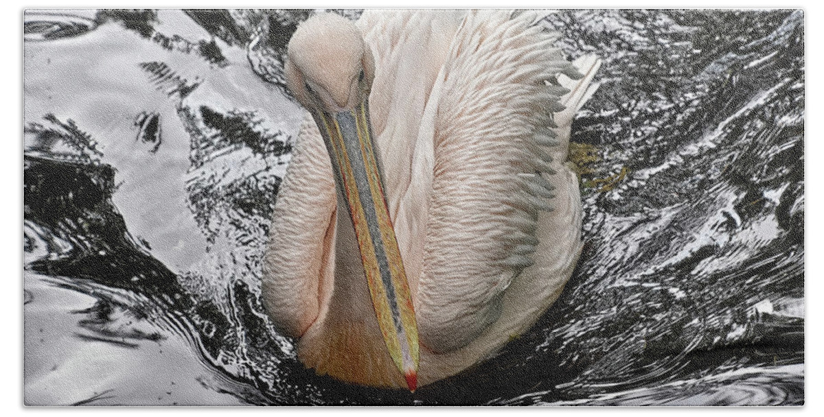 Eastern White Pelican Bath Towel featuring the photograph Sailing along by Kuni Photography