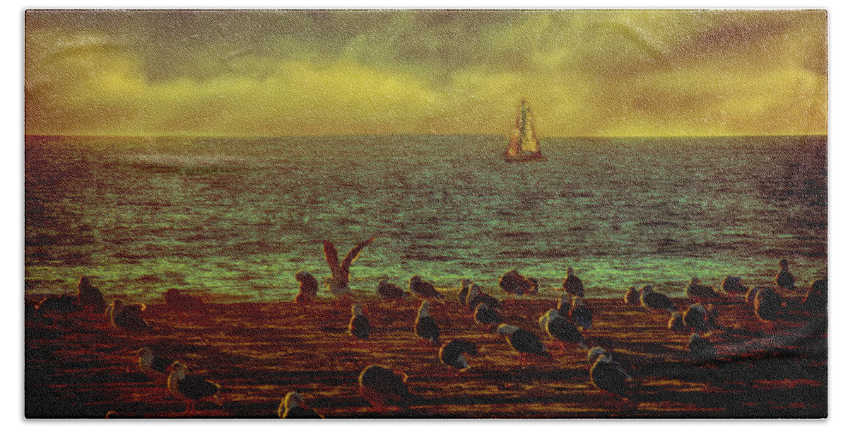 Seascape Hand Towel featuring the photograph Sailing And Seagulls by Joseph Hollingsworth