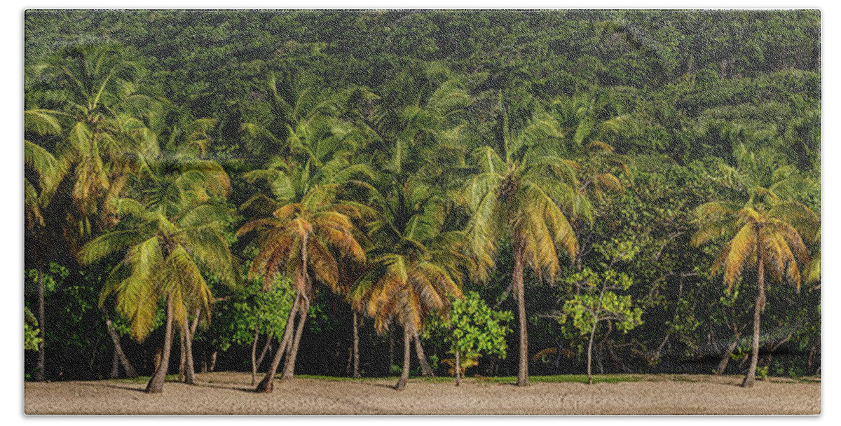 Grenadines Bath Towel featuring the photograph Salt Whistle by Gary Felton