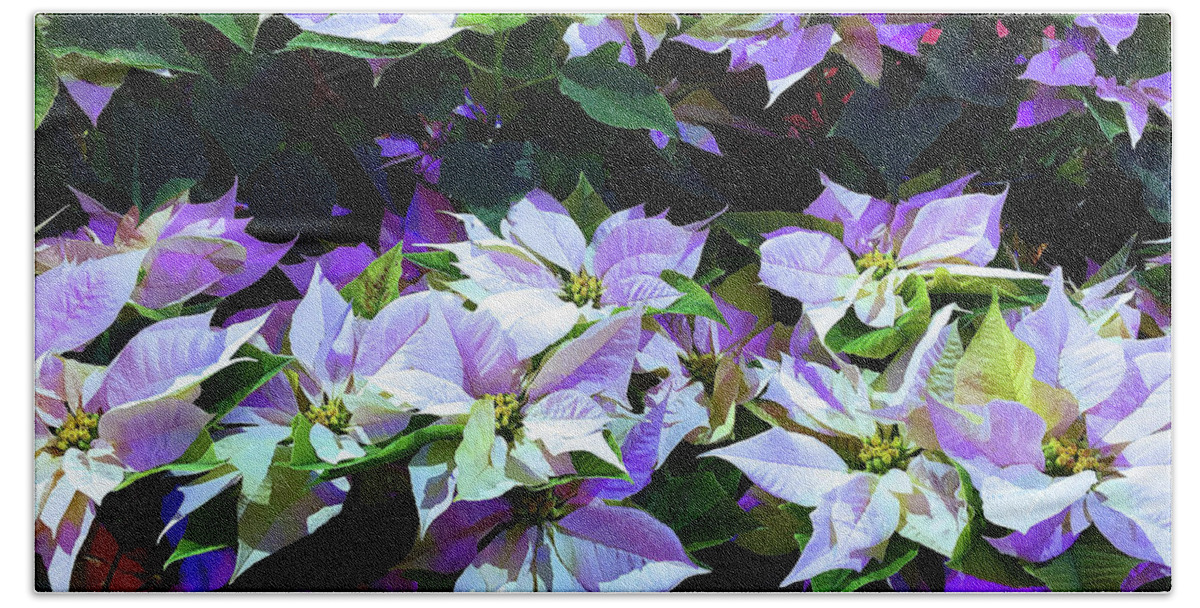 Flower Hand Towel featuring the photograph Sanctuary Poinsettias by Eunice Warfel