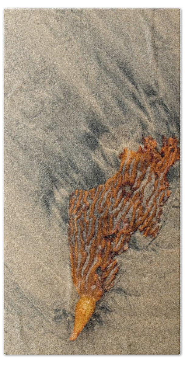 Beach Bath Towel featuring the photograph Sand Spirituality -1 by Hany J
