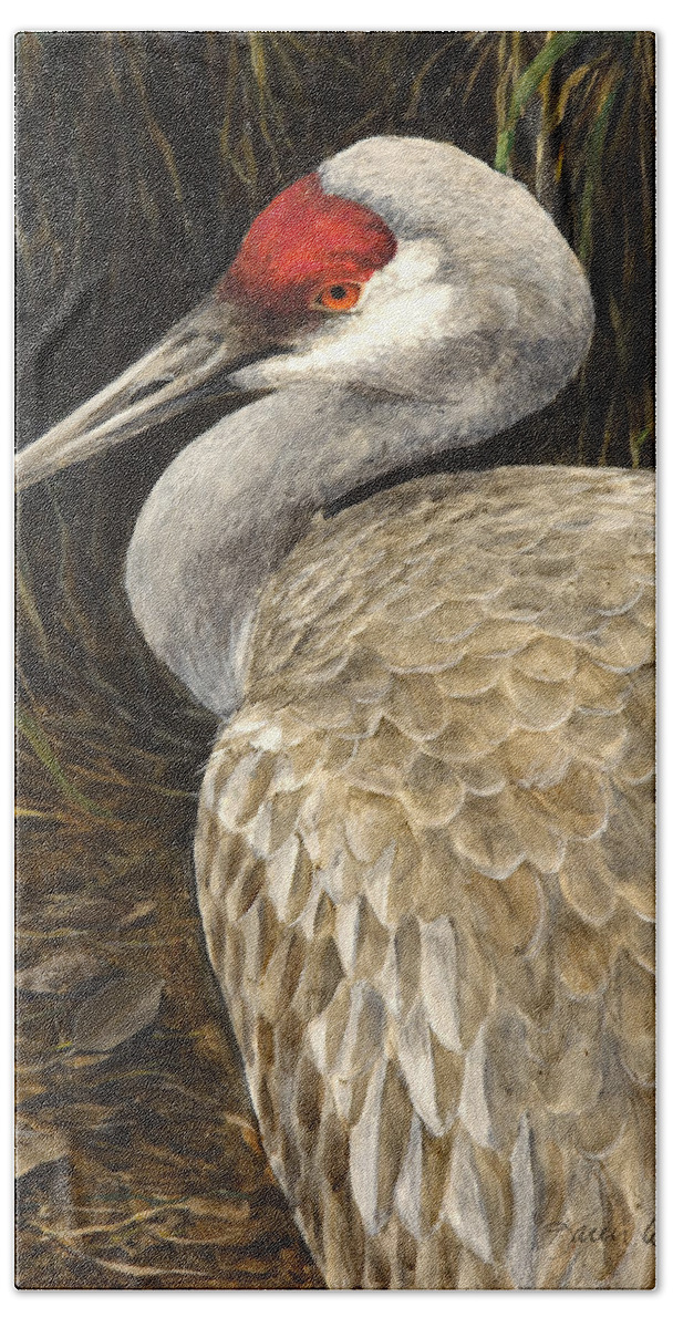 Birds Hand Towel featuring the painting Sandhill Crane - Realistic Bird Wildlife Art by K Whitworth