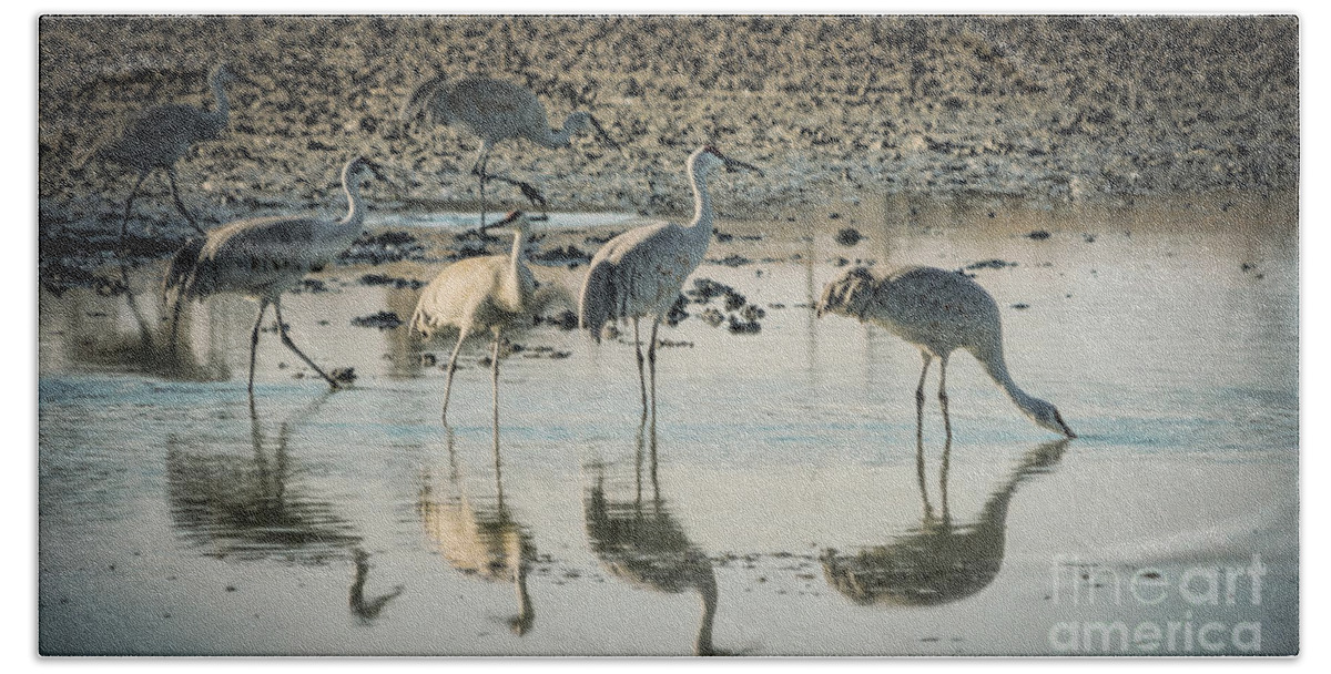 Wildlife Hand Towel featuring the photograph Sandhill Crane Reflections by Janice Pariza