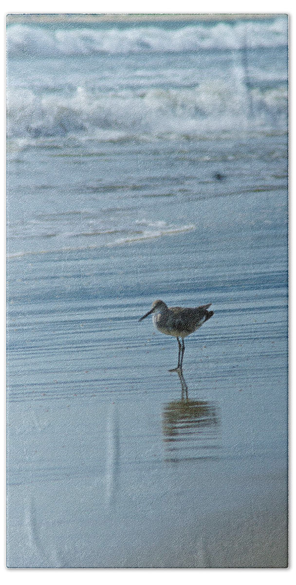 Sandpiper Hand Towel featuring the photograph Sandpiper on the Beach by Randy Harris
