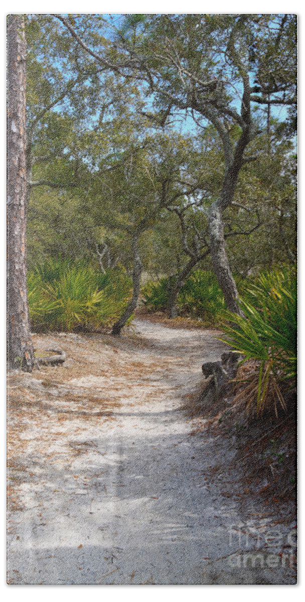 Path Hand Towel featuring the photograph Sandy Path in Hunting Island South Carolina by Louise Heusinkveld