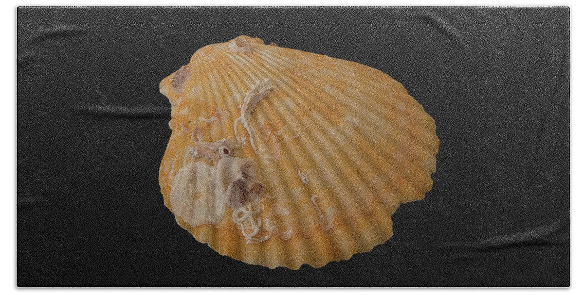 Shell Bath Towel featuring the photograph Scallop with Guests by Richard Goldman
