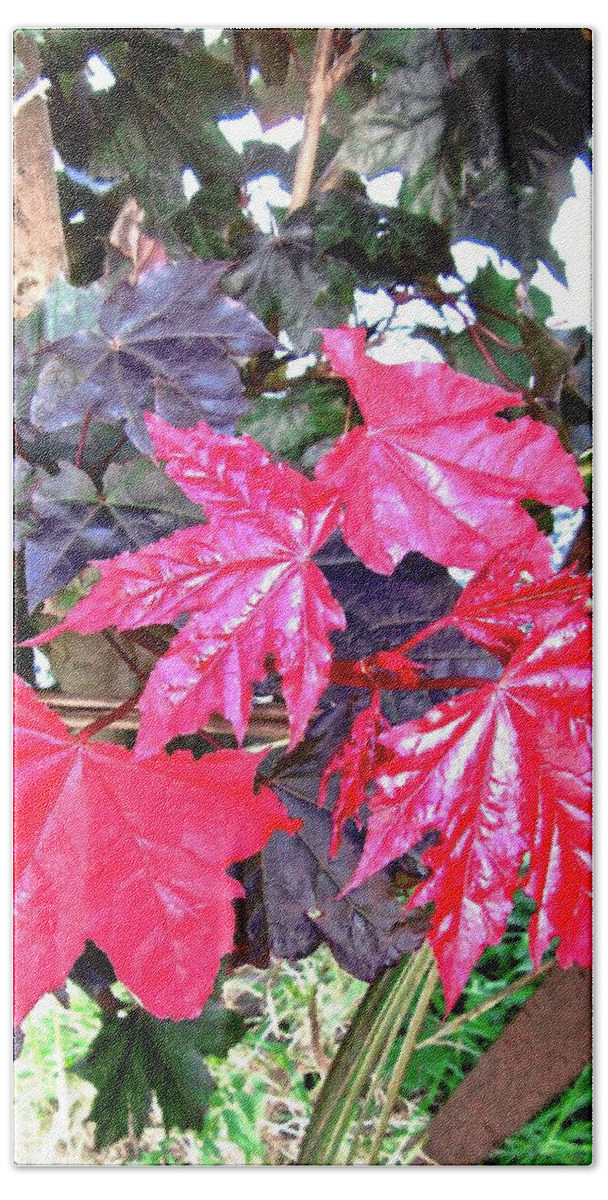 Leaves Bath Towel featuring the photograph Scarlet Leaves by Stephanie Moore