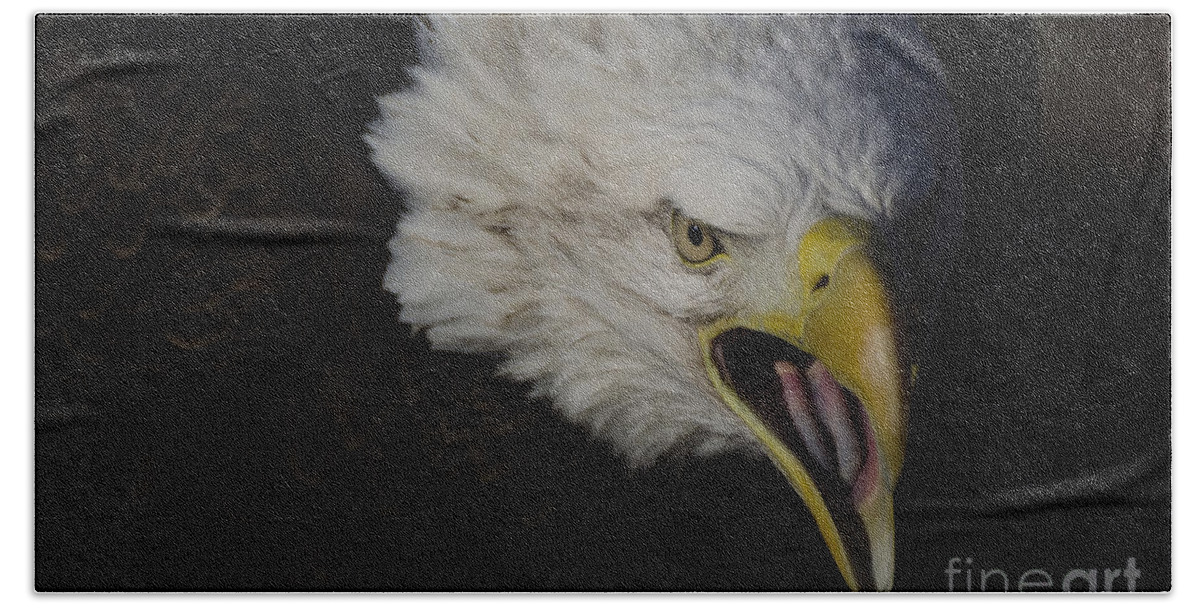 Eagle Hand Towel featuring the photograph Screaming Eagle by Andrea Silies