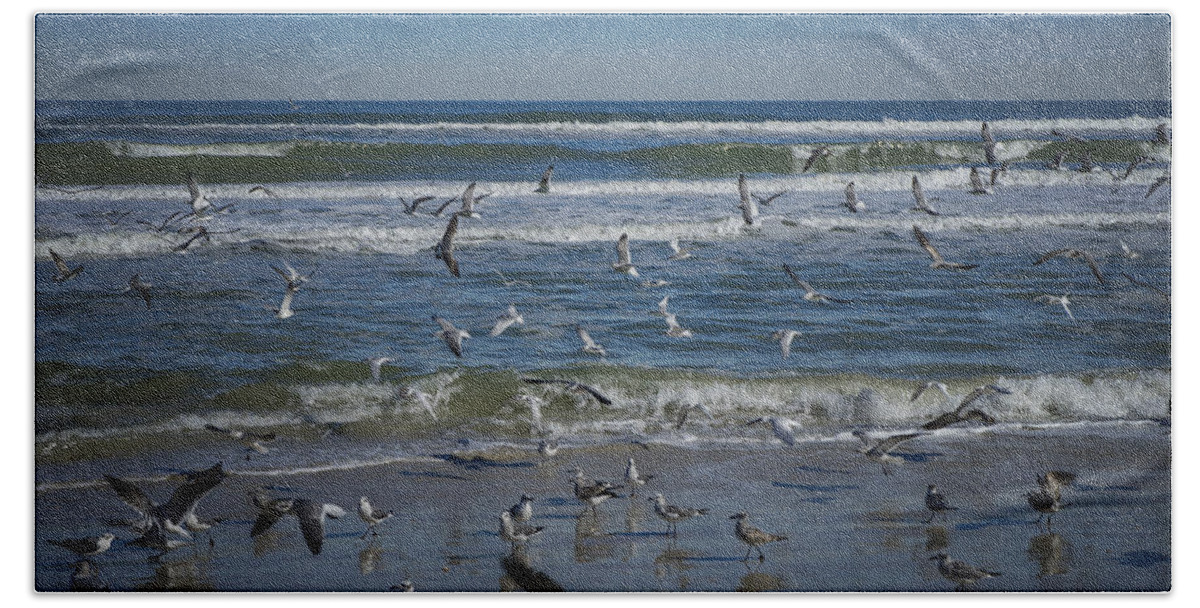 Sea Bird Bath Towel featuring the photograph Sea Birds Feeding on Florida Coast DSC00473_16 by Greg Kluempers