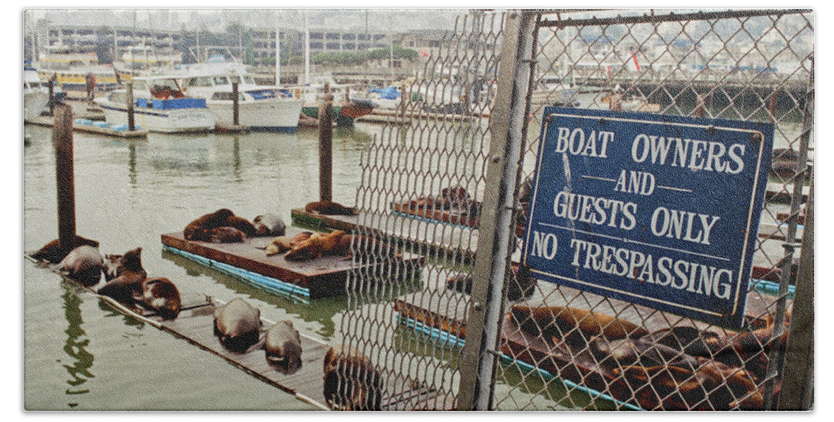 Color Bath Towel featuring the photograph Sea Lions Take Over, San Francisco by Frank DiMarco