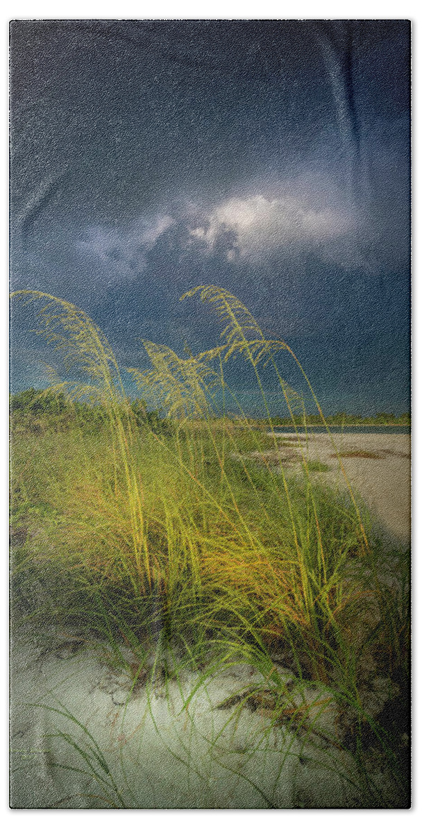 Beach Bath Towel featuring the photograph Sea Oats In The Storm by Marvin Spates