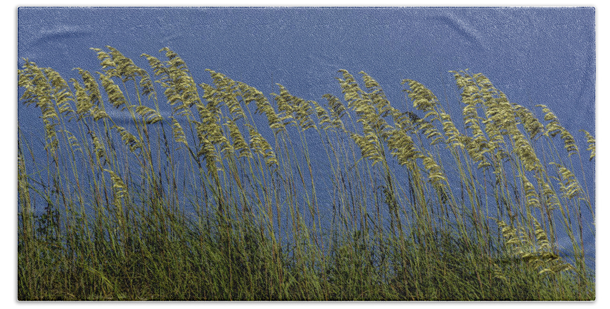 Original Hand Towel featuring the photograph Sea oats on the dunes by WAZgriffin Digital
