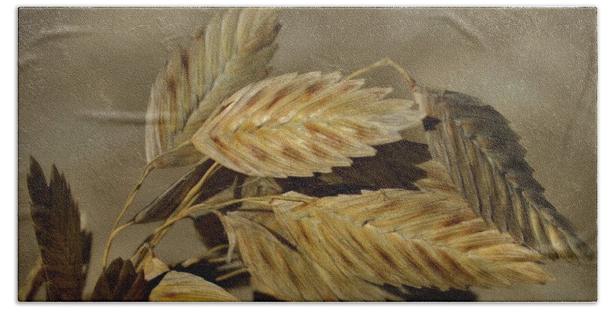 Maritime Hand Towel featuring the photograph Sea Oats by Skip Willits