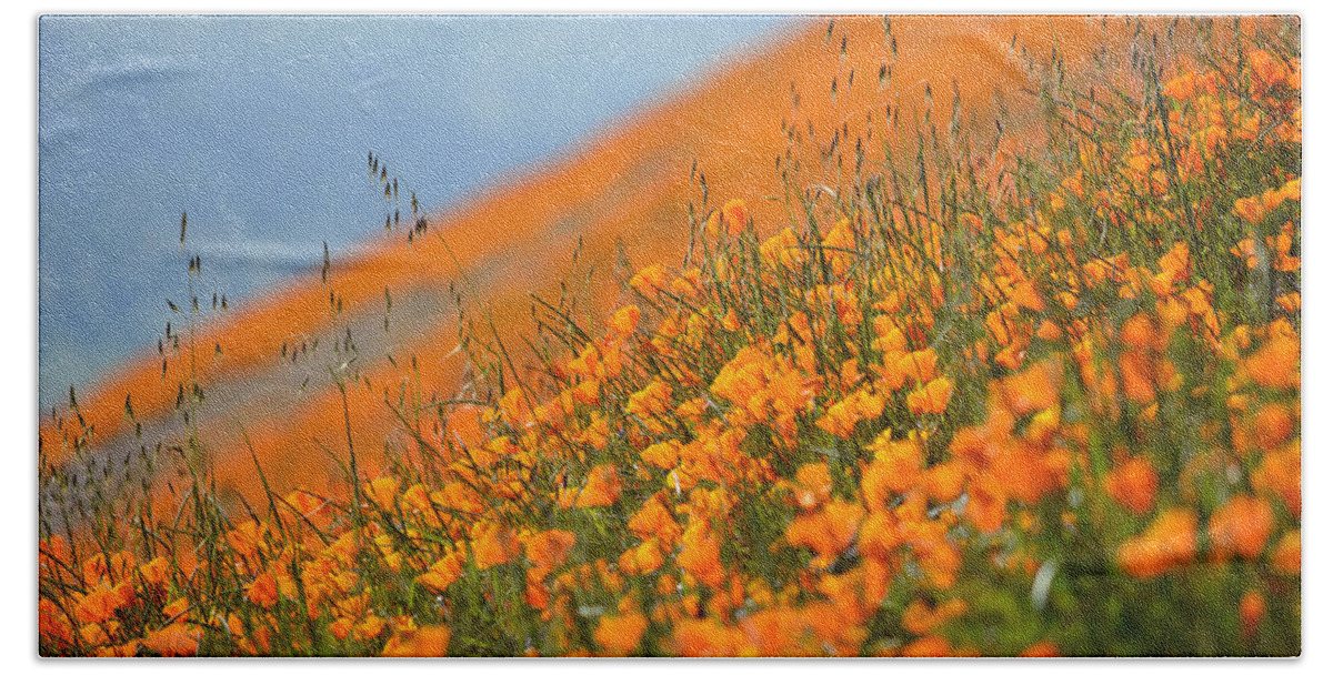 California Hand Towel featuring the photograph Sea of Poppies by Kyle Hanson