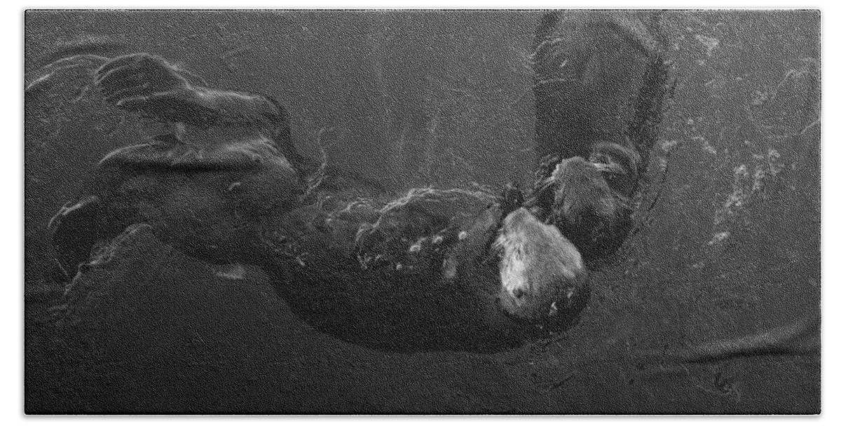 Sea Otter Bath Towel featuring the photograph Sea Otters V BW by David Gordon