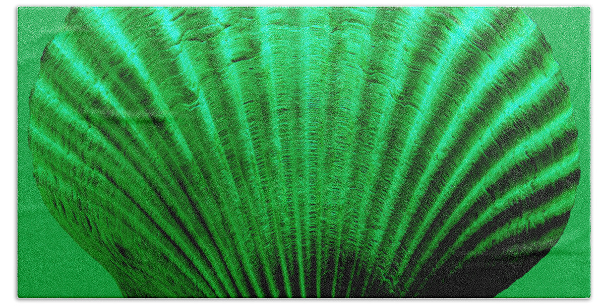 Sea Bath Towel featuring the photograph Sea Shell -Green by WAZgriffin Digital
