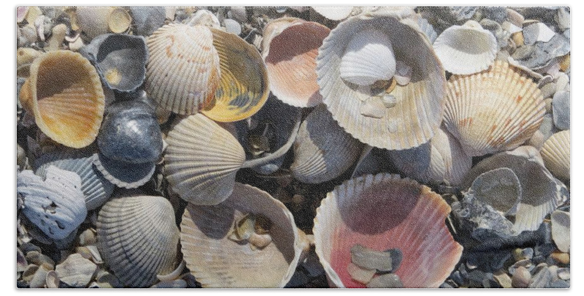 Shell Hand Towel featuring the photograph Sea Shell Mozaic by Ellen Meakin