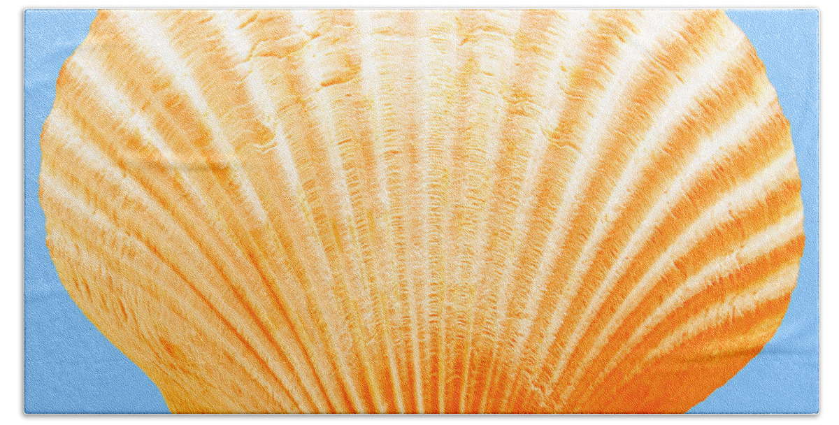 Sea Bath Towel featuring the photograph Sea Shell-Orange-blue by WAZgriffin Digital