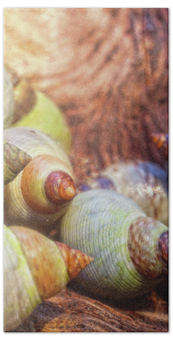 Snails Bath Towel featuring the photograph Sea Snails by Robert Och