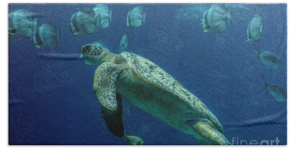 Sea Turtle Hand Towel featuring the photograph Sea Turtle by Barbara Bowen