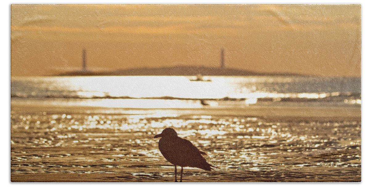 Gloucester Hand Towel featuring the photograph Seagull admiring Thacher Island Gloucester MA Good Harbor Beach by Toby McGuire