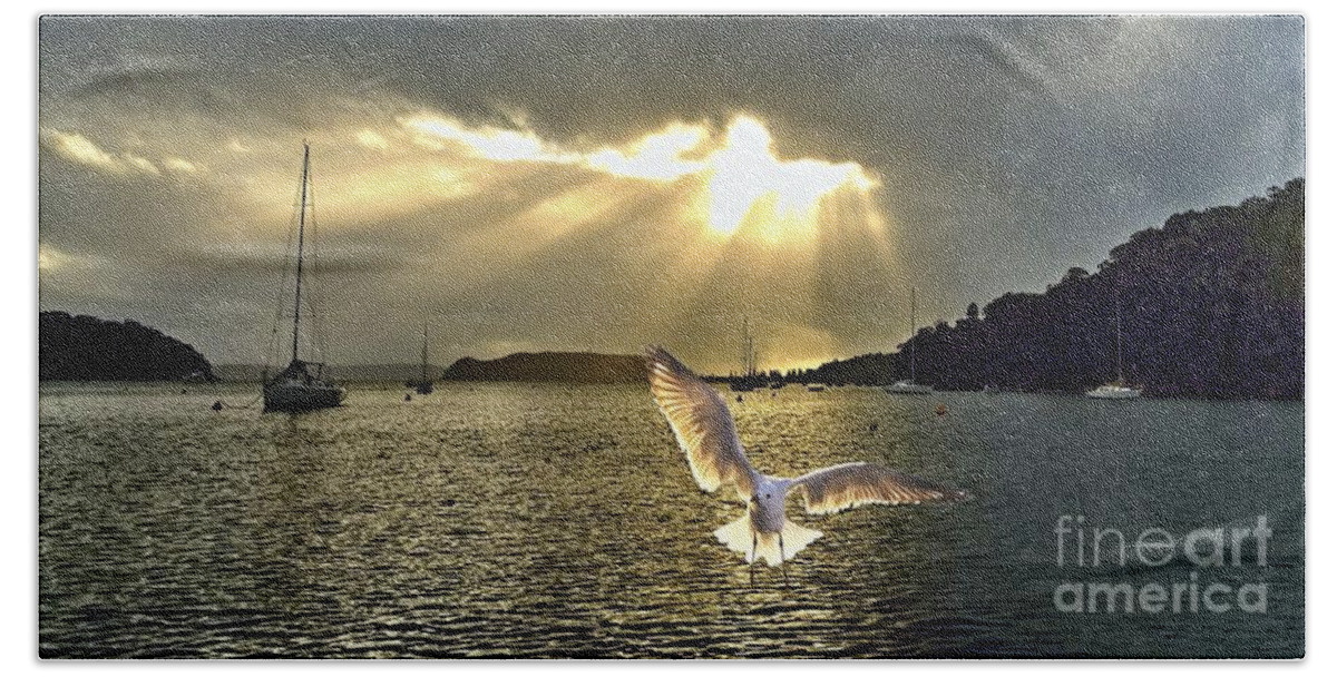 Seagul Bath Towel featuring the photograph Seagull at Sunrise with Crepuscula Rays. by Geoff Childs
