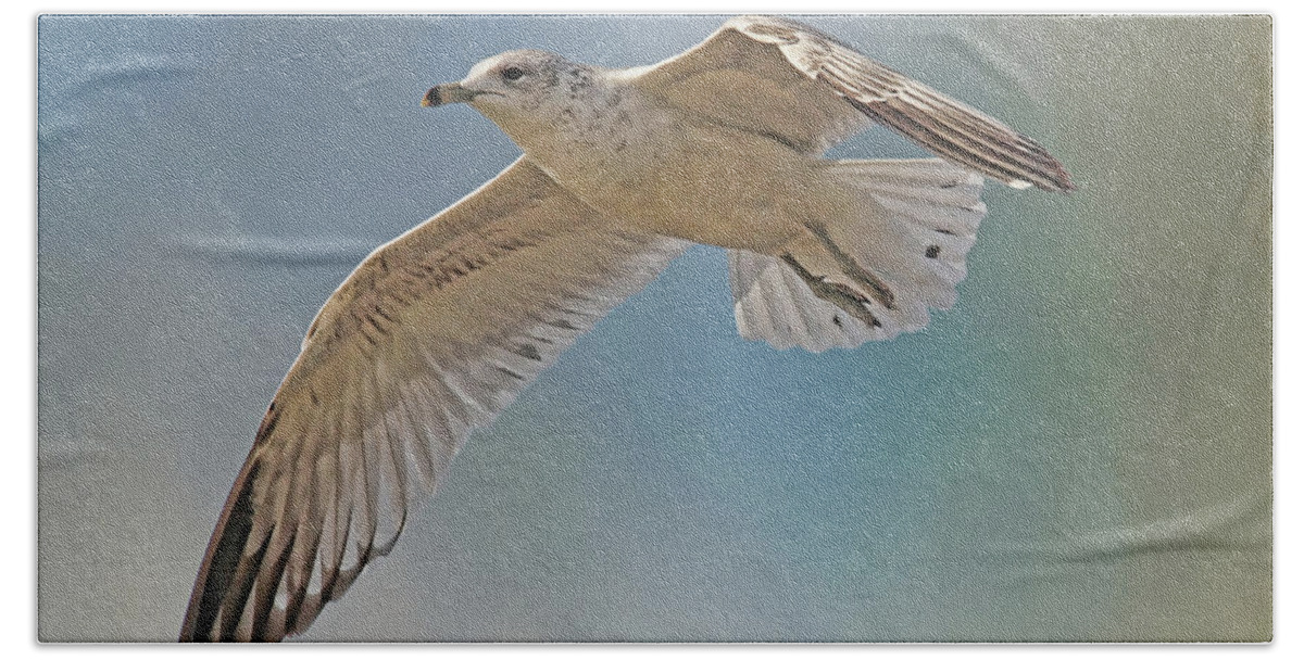 Seagull Bath Towel featuring the photograph Seagull In Flight by H H Photography by HH Photography of Florida
